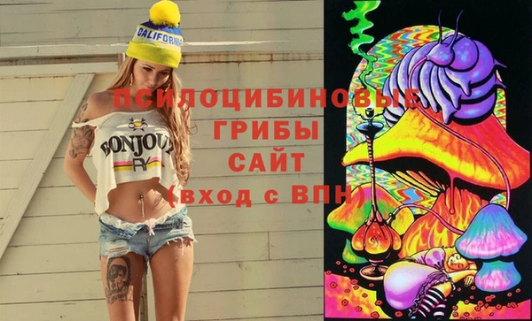 амф Аркадак