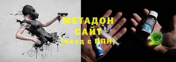 сатива Арсеньев