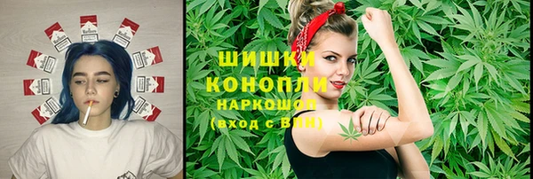 сатива Арсеньев