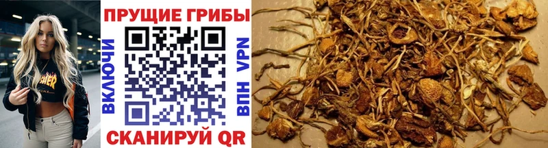 Галлюциногенные грибы мухоморы  KRAKEN вход  Калтан 